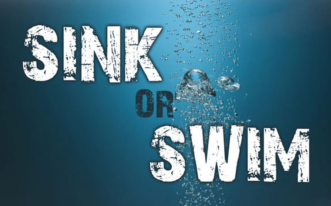 Co-Parenting: Sink or Swim by Dr. Laura LoBuglio-Vigil, Psy.D. &  Dr. Julio Vigil, Ph.D.