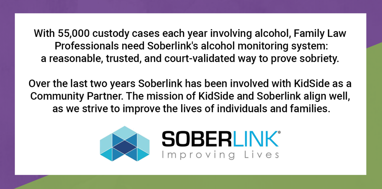 soberlink