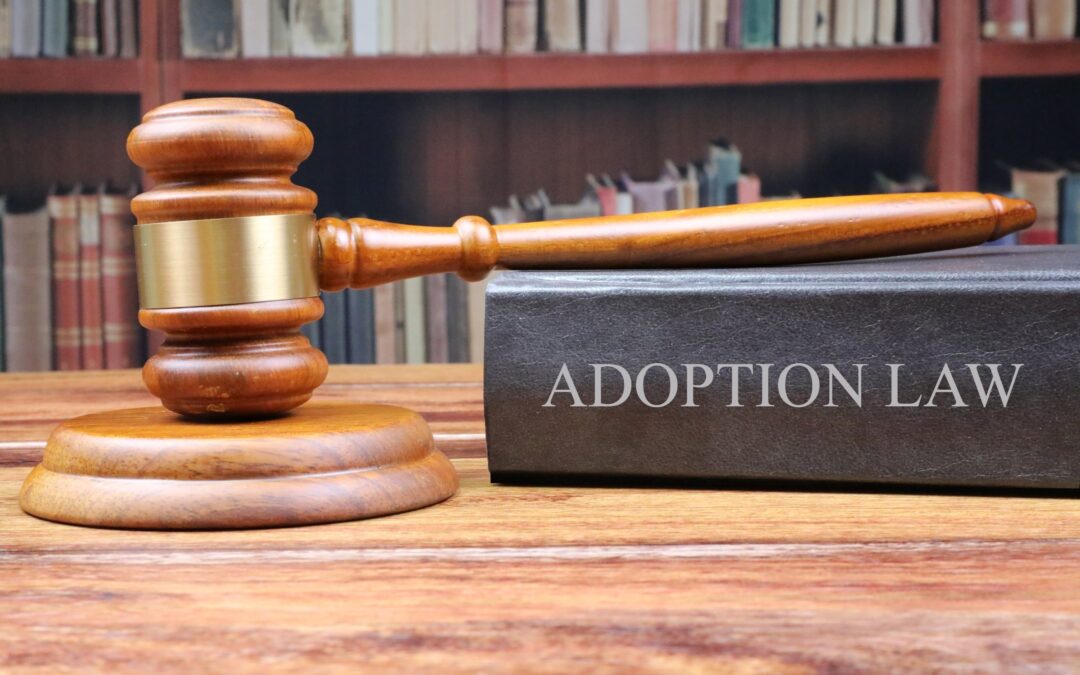 The Relationship Between Adoption Law and The Florida Child Welfare System